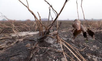 Câmara setorial temática vai debater sobre mudanças climáticas