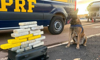 Em Rondonópolis-MT, PRF apreende 17.75kg de cocaína com passageiro de ônibus