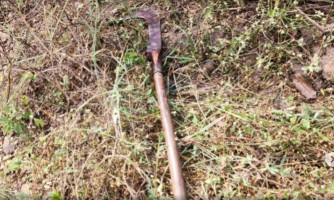 Funcionário de fazenda é morto com golpes de foice na cabeça após briga com colega em MT