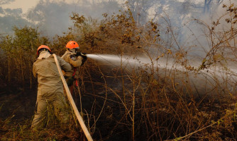 Período proibitivo de uso de fogo em áreas rurais começa neste sábado (1º)