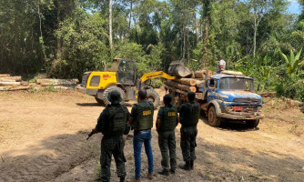 Sema-MT apreende 55 metros cúbicos de madeira extraída ilegalmente em Nova Maringá