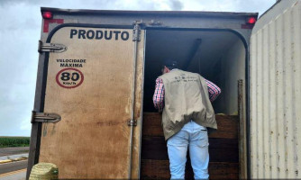 Indea intensifica fiscalização do transporte de pescado em rodovias estaduais