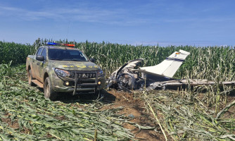 FRONTEIRA: Gefron apreende cerca de 500 kg de entorpecente perto de aeronave queimada