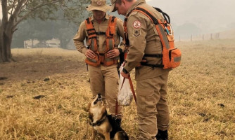 Corpo de Bombeiros utiliza cães farejadores e intensifica busca por jovem desaparecido em Pontes e Lacerda