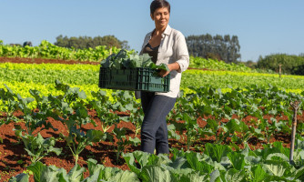 Sicredi reforça financiamento de projetos sustentáveis e amplia carteira de crédito para economia verde