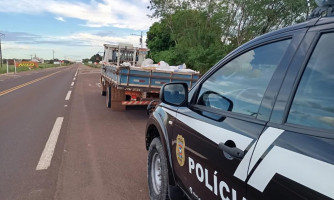 Polícia Civil prende receptador e recupera parte de carga de soja furtada de carreta tombada na BR-158