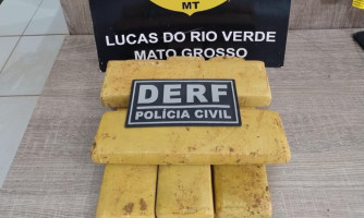 Polícia Civil apreende tabletes de maconha enterrados debaixo de pé de manga em Lucas do Rio Verde