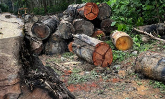 Sema apreende máquinas e aplica multa de R$ 200 mil por extração ilegal em Colniza