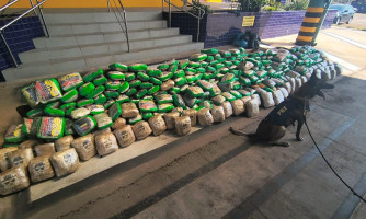 PRF apreende mais de 300 kg de drogas durante abordagem na BR-364 em Mato Grosso