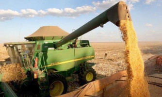 Primeira estimativa da nova safra do milho aponta produção superior a 43 milhões de toneladas em MT