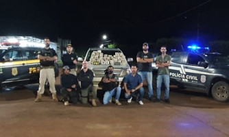 Ação integrada apreende 50 quilos de pasta base de cocaína na zona rural de Campos de Júlio