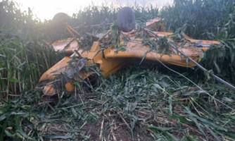 Avião agrícola bate em fio de alta tensão e cai em plantação em MT