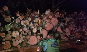 Batalhão Ambiental prende homem por extração e transporte ilegal de madeira