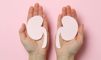 Brasil é o terceiro maior transplantador de rim do mundo