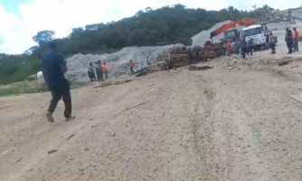 Caminhão com gado tomba na Serra de São Vicente e animais agonizam na pista