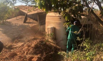 Carga de soja é saqueada após motorista de 67 anos tombar caminhão em rodovia