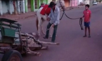 Carroceiro é flagrado maltratando cavalo em Cáceres e revolta moradores