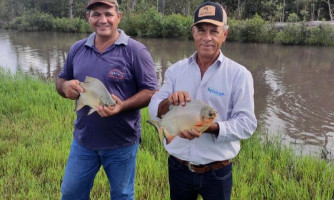 Construção de 800 tanques de peixes com assistência da Empaer gera renda a agricultores