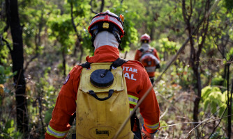 Corpo de Bombeiros aplica R$ 171,2 milhões em multas por uso irregular do fogo