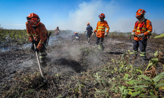 Corpo de Bombeiros segue combatendo incêndio no Pantanal nesta segunda-feira (15)