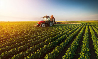 DEU NO VALOR ECONÔMICO: Mato Grosso é o estado brasileiro com maior crescimento econômico em 2022