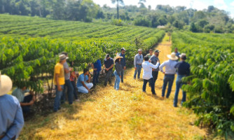 Empaer abre processo de credenciamento para pesquisa, assistência técnica e extensão rural