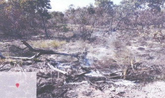 Fazendeiro é multado em R$ 10,4 milhões por queimada no Pantanal em MT