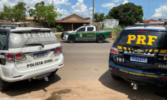Força tarefa entre PRF, Polícia Civil e IBAMA apreende quase duas toneladas de agrotóxicos