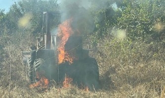 Incêndio atinge duas fazendas e destrói cerca de 1,5 mil hectares no Pantanal de MT