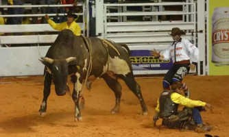 Justiça proíbe realização de rodeios em Minas Gerais