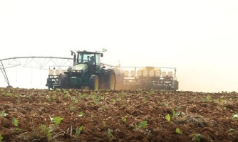 Manejo inadequado de fungicidas pode derrubar produtividade em até 20 sacas por hectare