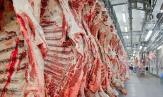 Marfrig oferece 25 vagas de emprego na unidade de Tangará da Serra, no Mato Grosso