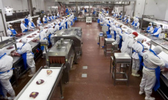 Marfrig oferece 30 vagas de emprego na unidade de Pontes e Lacerda, no Mato Grosso