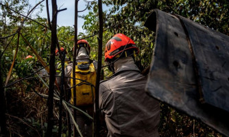 Mato Grosso reduz 85,8% focos de calor no Pantanal nos primeiros cinco meses