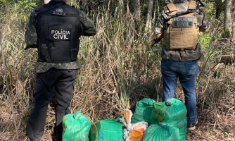 Polícia Civil apreende 126 tabletes de cloridrato de cocaína enterrados em sítio na fronteira