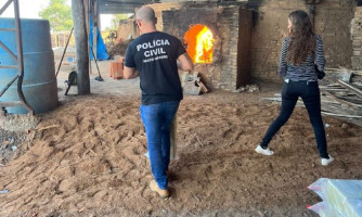 Polícia Civil incinera mais de 170 quilos de entorpecentes em Comodoro