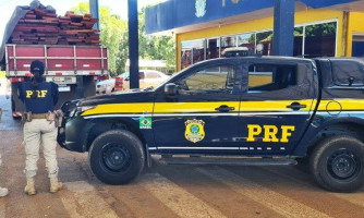 PRF em Cáceres apreende madeira transportada ilegalmente