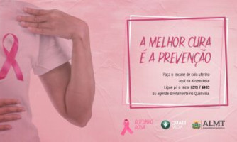 Projeto institui programa “Ônibus da Saúde da Mulher e do Homem”