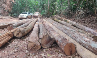 Sema apreende madeira ilegal e embarga área de mais de 10 mil hectares em MT