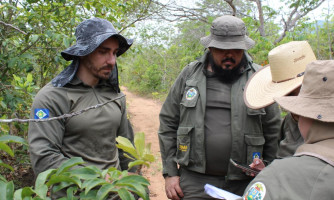 Sema-MT capacita servidores sobre classificação de espécies botânicas do Cerrado