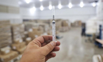 SES disponibiliza vacinas antirrábicas para imunização na região de fronteira