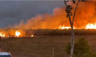 VEJA O VÍDEO: Incêndio atinge canavial de usina em Lambari D’Oeste-MT e assusta moradores