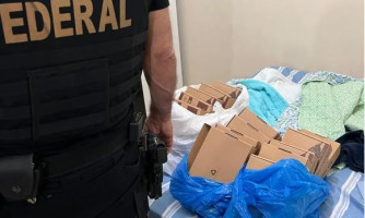 Venda ilegal de agrotóxicos estrangeiros é alvo de operação da PF