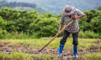 ZONEAMENTO AFETARÁ DESENVOLVIMENTO E ECONOMIA DA REGIÃO DO VALE DO ARAGUAIA E VALE DO GUAPORÉ