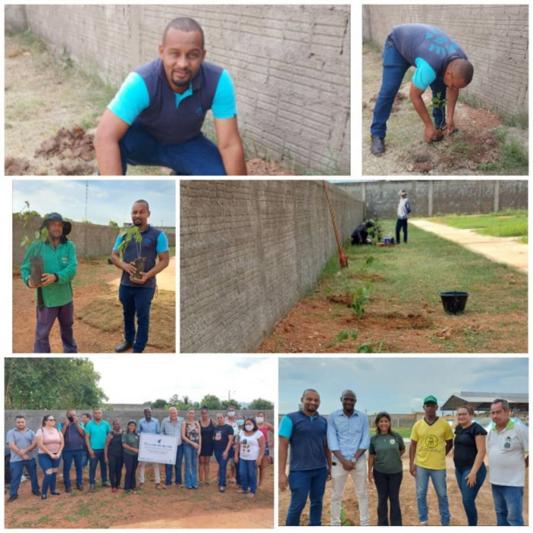 Árvores são plantadas em homenagem as vítimas da Covid-19 em Vila Bela; vereador Isaias participa da ação