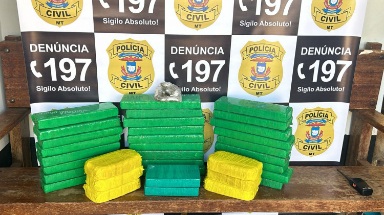 Campo Novo do Parecis: Polícia Civil apreende maconha, pasta base e cocaína que eram transportadas em veículo na BR-364