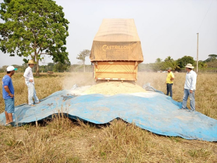 Prefeitura de Nova Lacerda entrega Calcário para produtores rurais do município