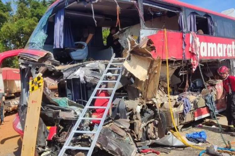 MP denuncia motorista de ônibus que matou 8 pessoas após acidente com carreta na BR-163 em MT