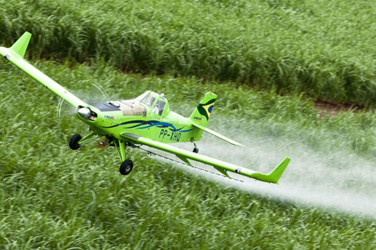 STF mantém lei do Ceará que proibiu pulverização aérea de agrotóxicos