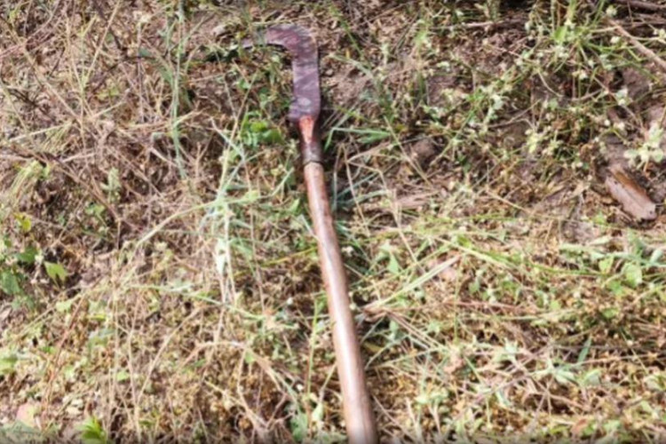 Funcionário de fazenda é morto com golpes de foice na cabeça após briga com colega em MT